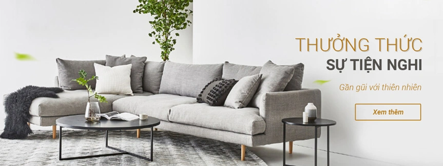 Nội Thất Thanh Phong 